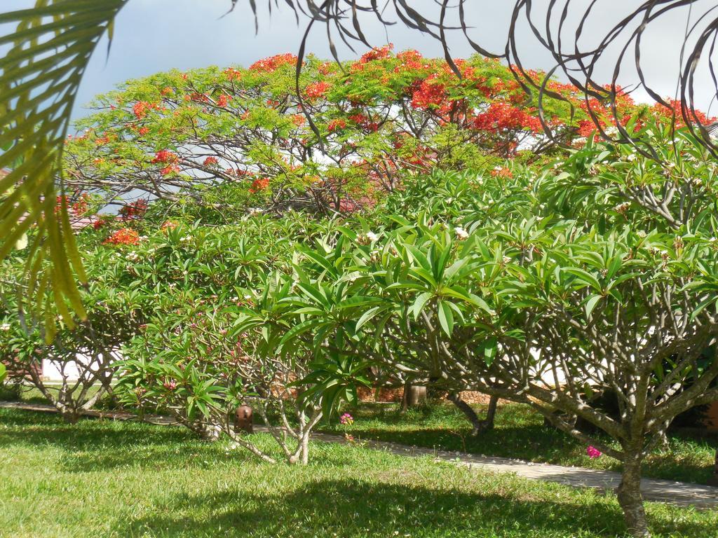 Swahili Beach Resort Zanzibar 外观 照片